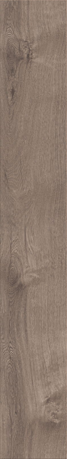 Broad Leaf Smoky Sycamore 41817 mFLOR